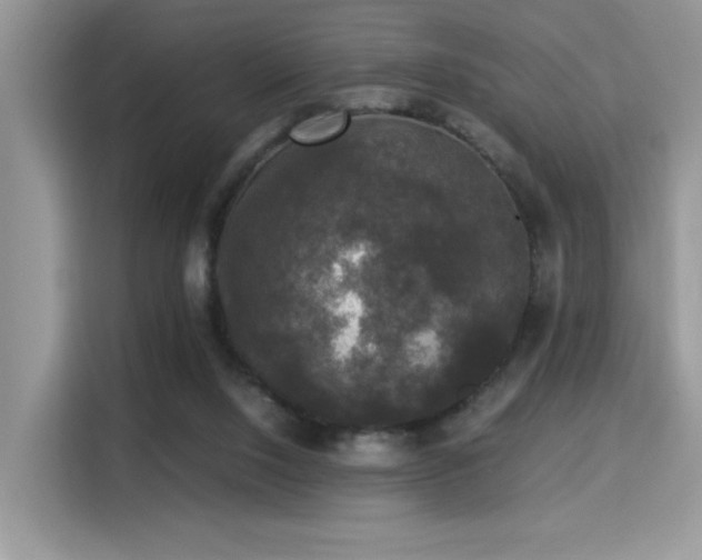 X0000115340064200911091313