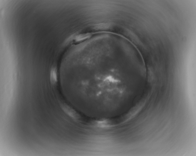 X0000115340068200911091313