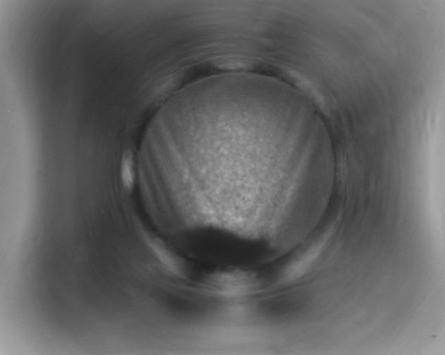 X0000115340069200911091313