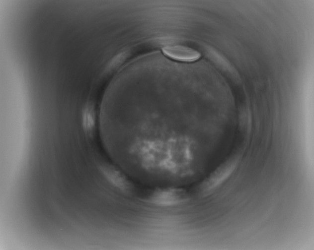X0000115340072200911091313