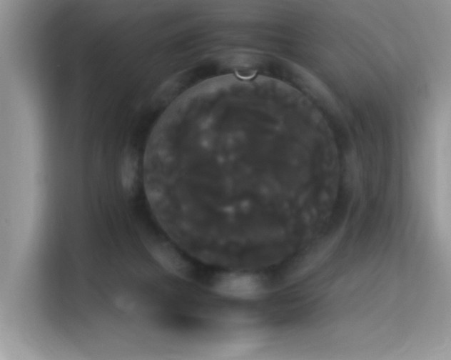 X0000115340073200911091313