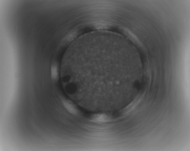 X0000115340074200911091313