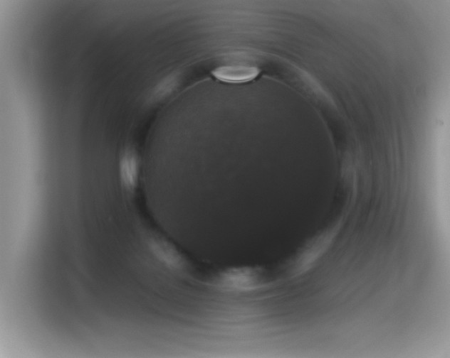 X0000115340076200911091313
