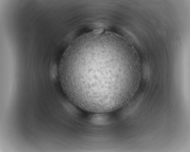 X0000115340077200911091313