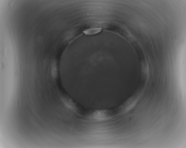 X0000115340080200911091313