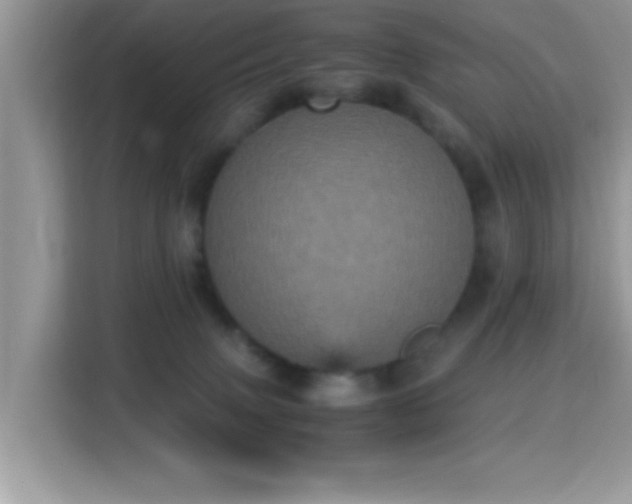 X0000115340083200911091313