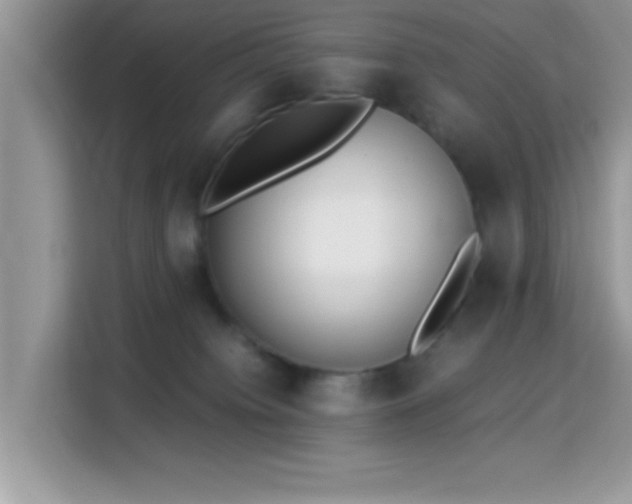 X0000115340084200911091313