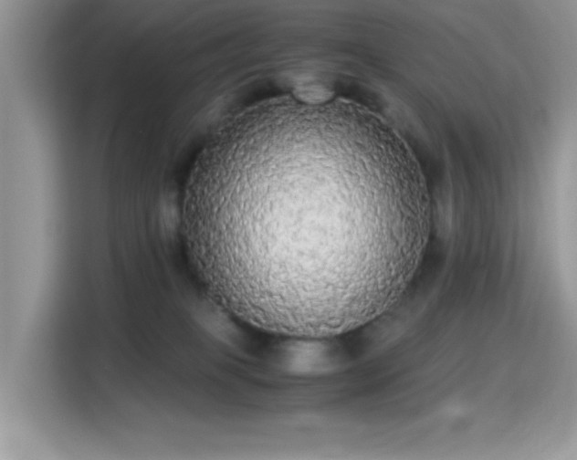 X0000115340085200911091313
