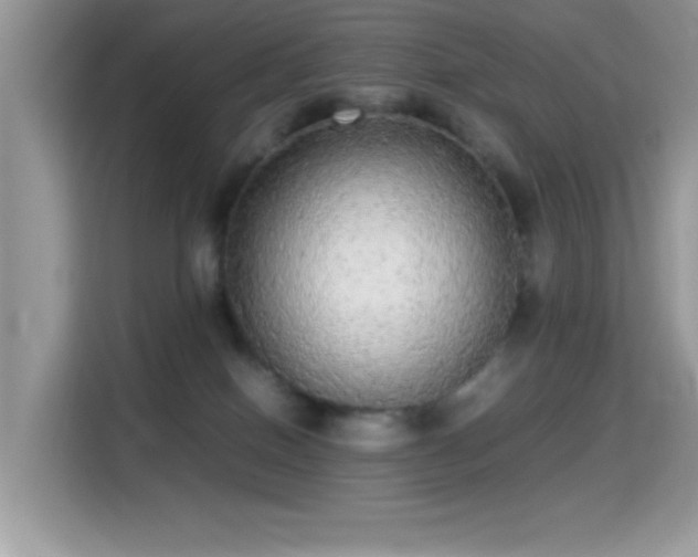 X0000115340086200911091314