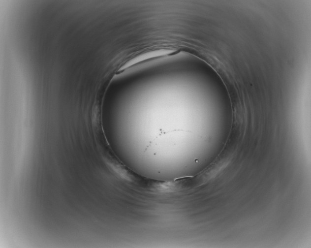 X0000115340092200911091314