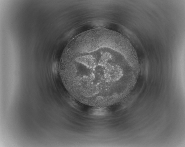 X0000115340093200911091314