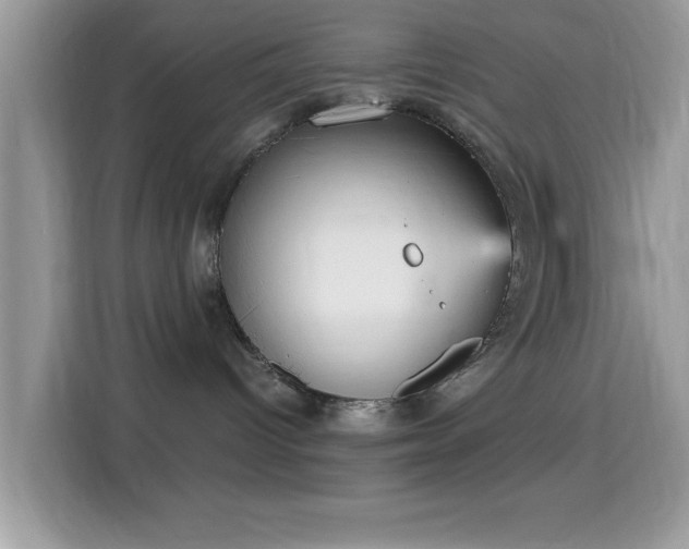 X0000115340096200911091314