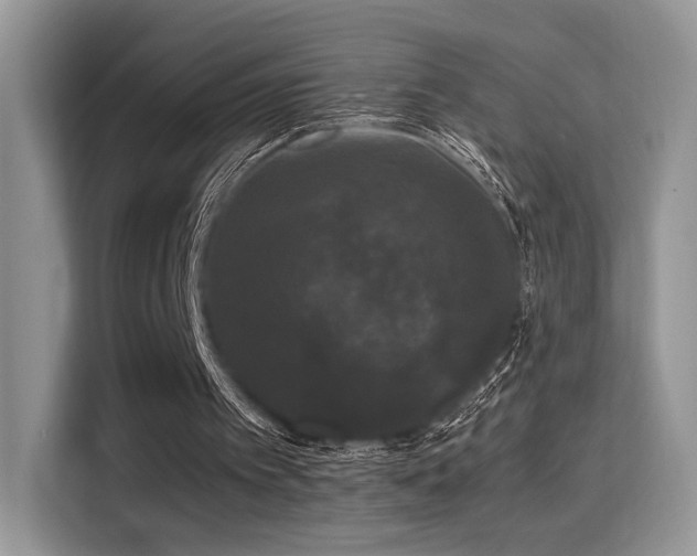X0000115340097200911091313