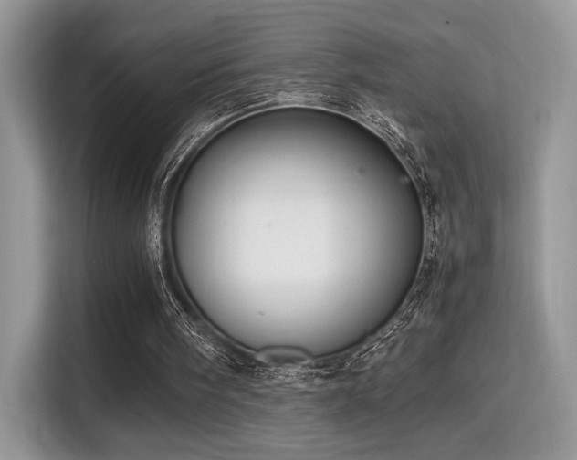 X0000115340098200911091313