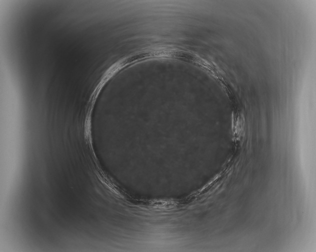 X0000115340099200911091313