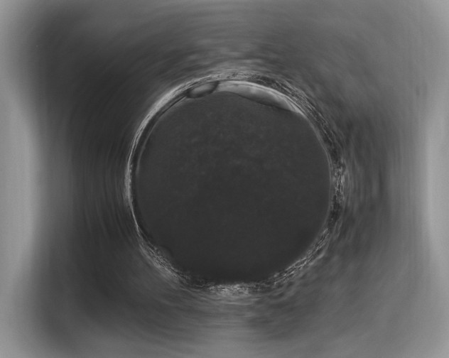 X0000115340100200911091313