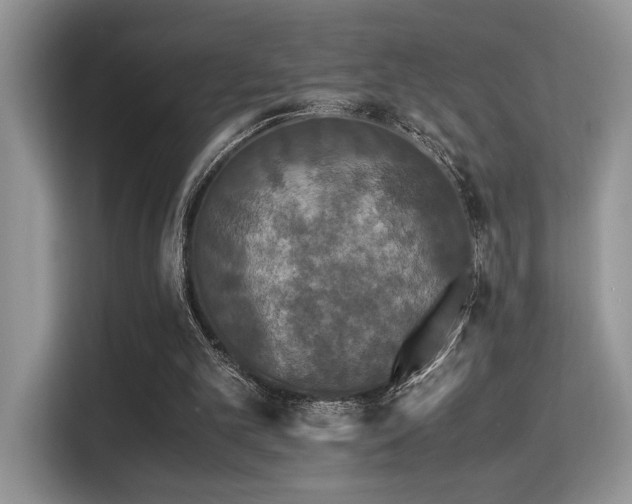 X0000115340101200911091313