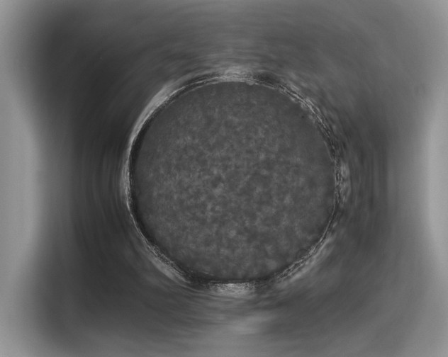 X0000115340102200911091313