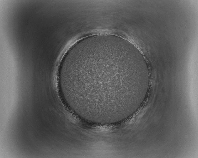 X0000115340103200911091313