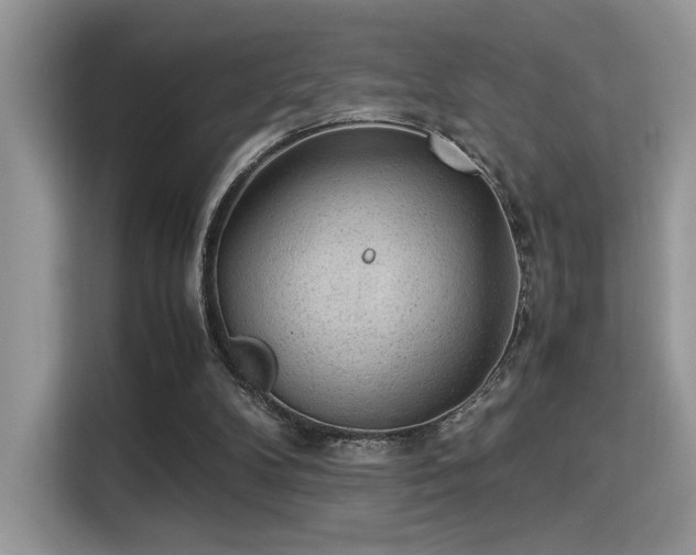 X0000115340104200911091313