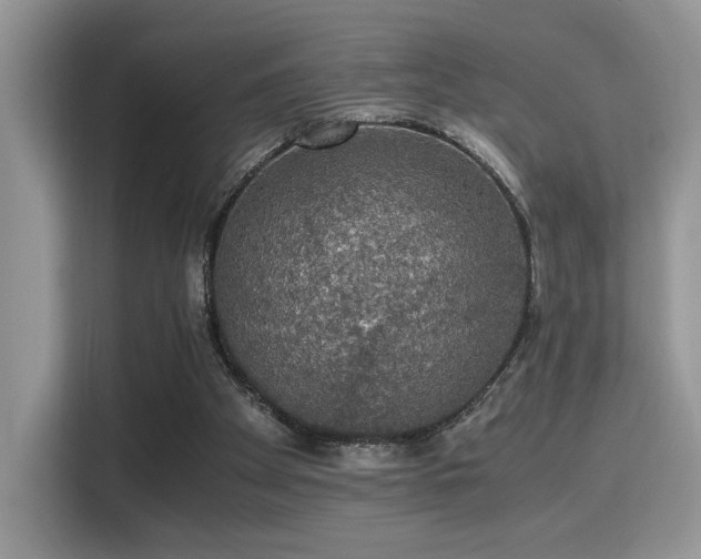 X0000115340105200911091313