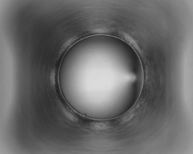 X0000115340106200911091313