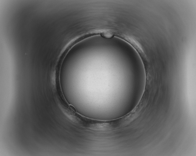 X0000115340108200911091313