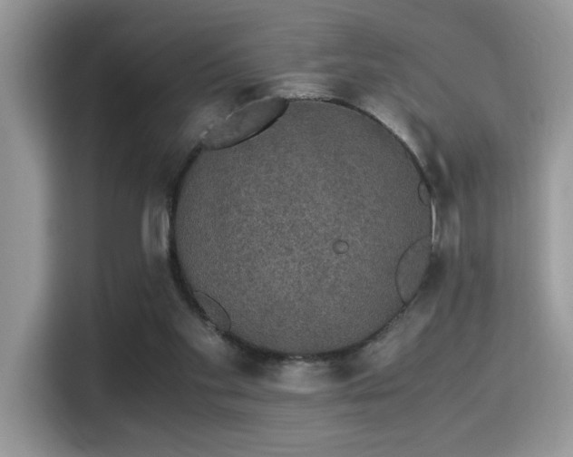 X0000115340109200911091313