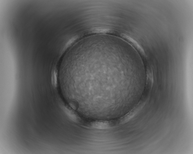 X0000115340110200911091313