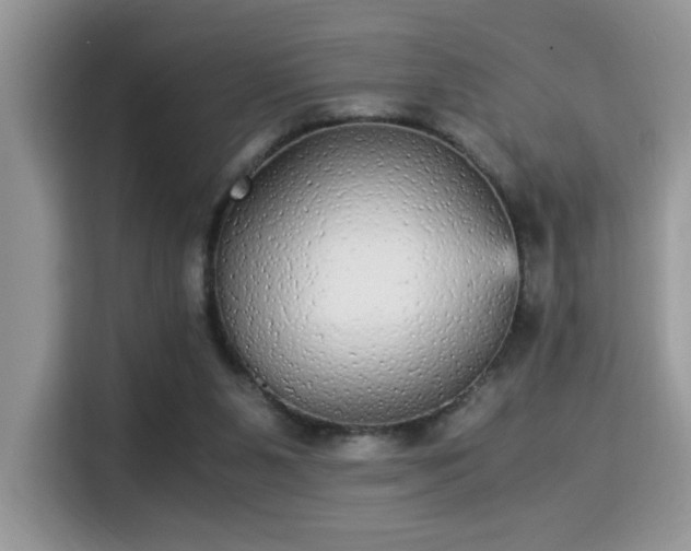 X0000115340111200911091313