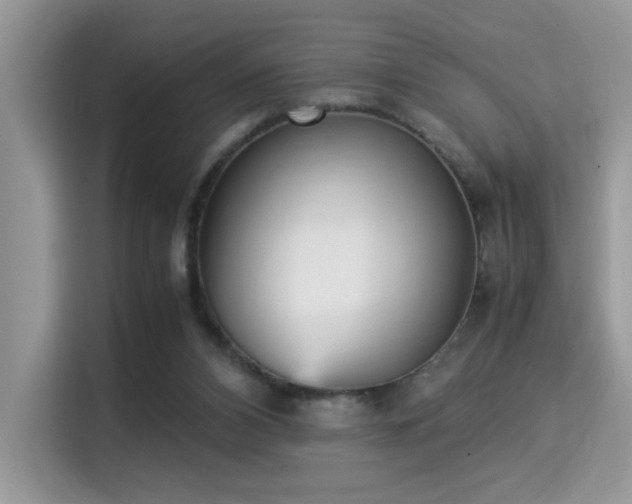 X0000115340112200911091313