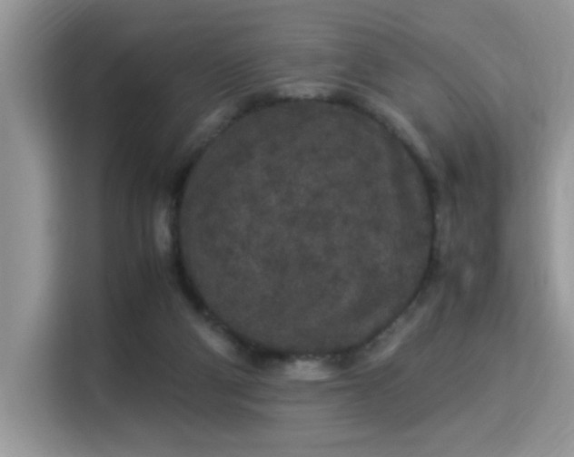 X0000115340114200911091313