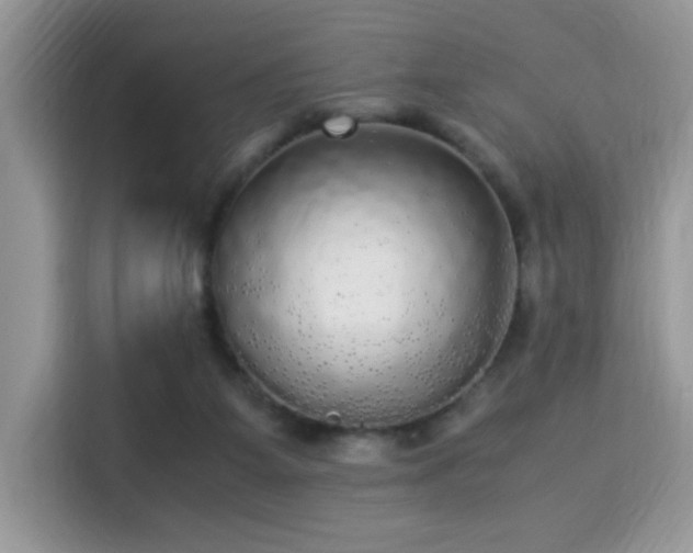 X0000115340115200911091313