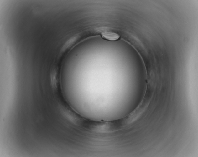 X0000115340116200911091313