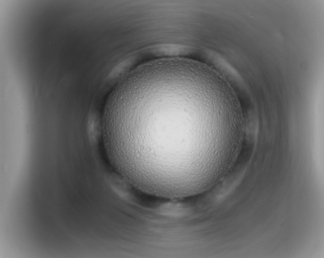 X0000115340119200911091313