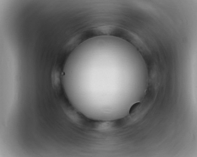 X0000115340122200911091313