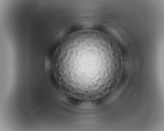 X0000115340123200911091313