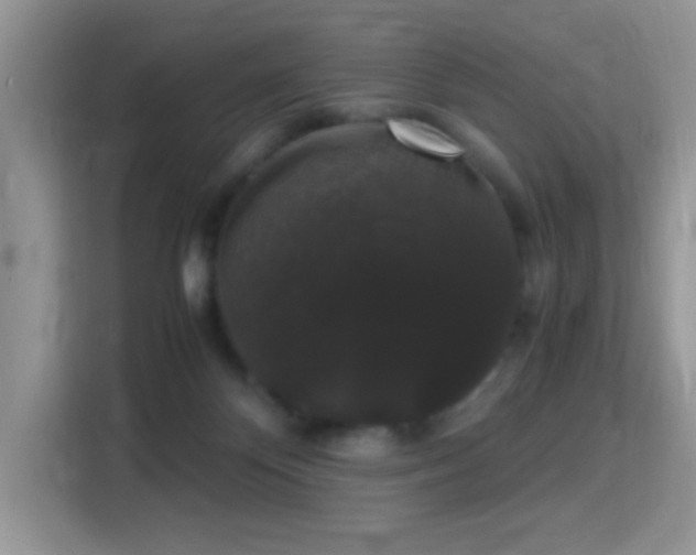 X0000115340124200911091313