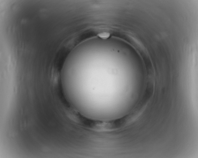 X0000115340125200911091313
