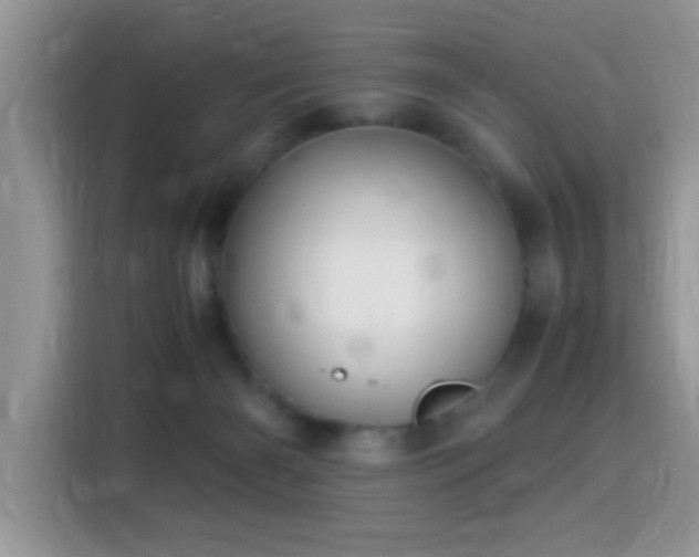 X0000115340126200911091313