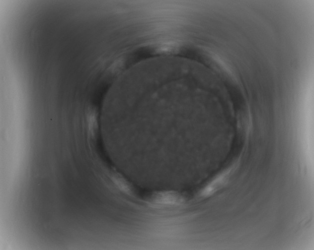 X0000115340127200911091313