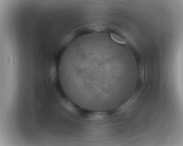 X0000115340128200911091313