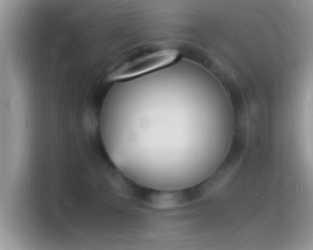 X0000115340129200911091313