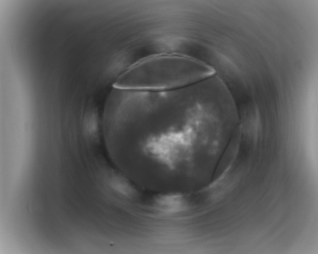 X0000115340132200911091313