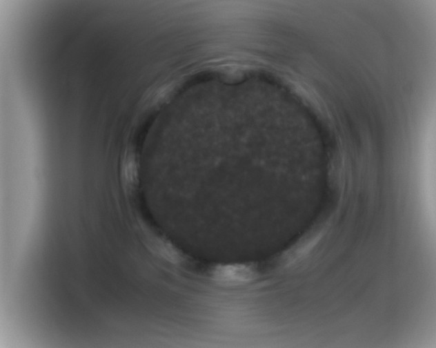 X0000115340137200911091312