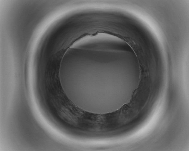 X0000115340143200911091312