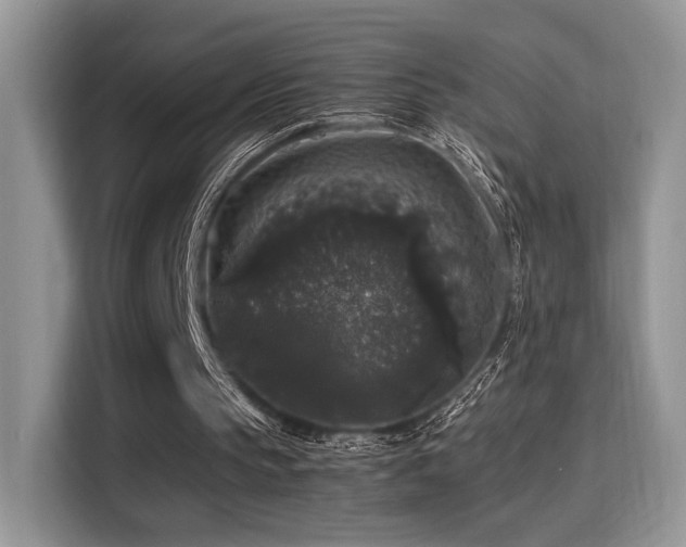 X0000115340145200911091312