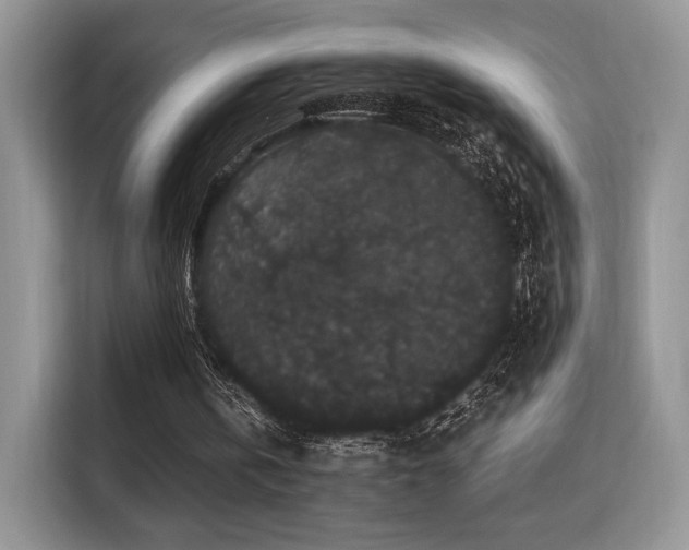 X0000115340146200911091312