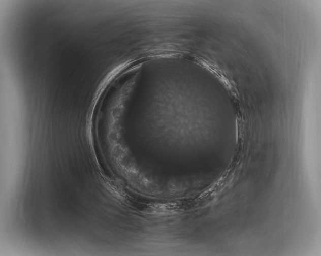 X0000115340147200911091312