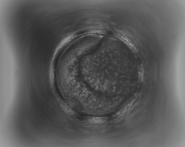 X0000115340149200911091312